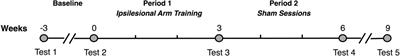 Remedial Training of the Less-Impaired Arm in Chronic Stroke Survivors With Moderate to Severe Upper-Extremity Paresis Improves Functional Independence: A Pilot Study